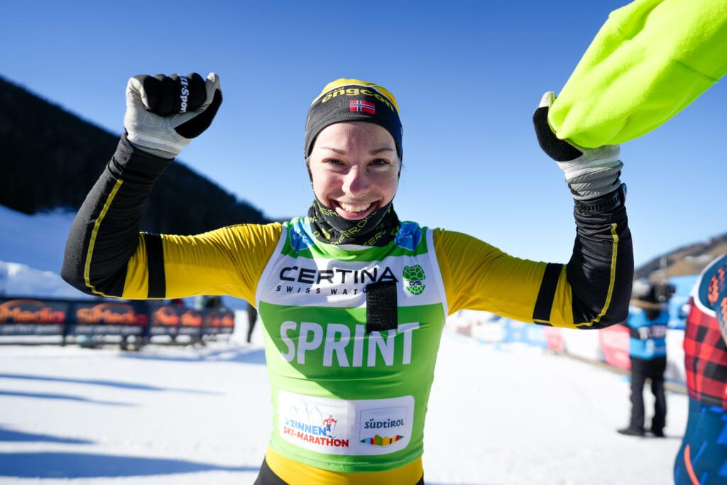 Alnæs 3 Zinnen