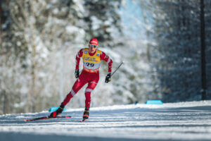 FIS:n neuvosto