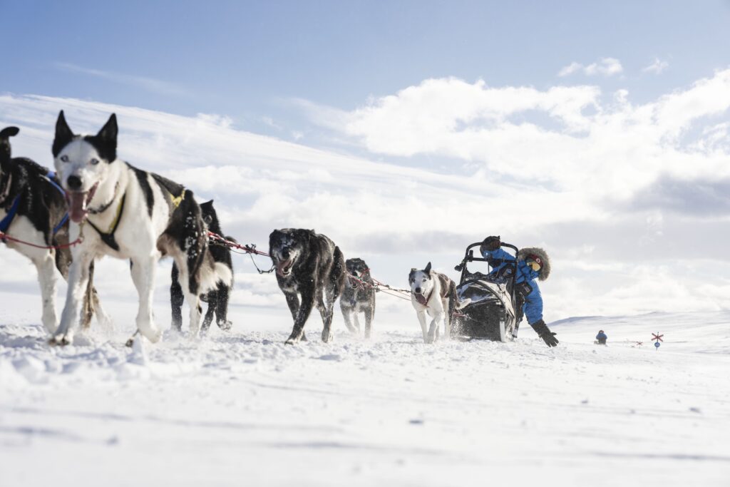 Fjällräven Polar