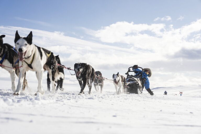 Fjällräven Polar
